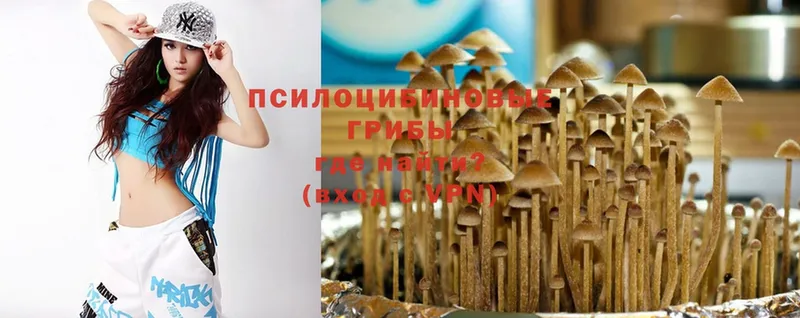 где найти   Каневская  МЕГА   Псилоцибиновые грибы MAGIC MUSHROOMS 